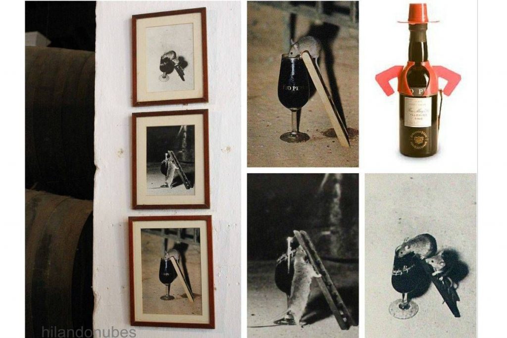 hilandonubes Jerez Bodegas Tio Pepe