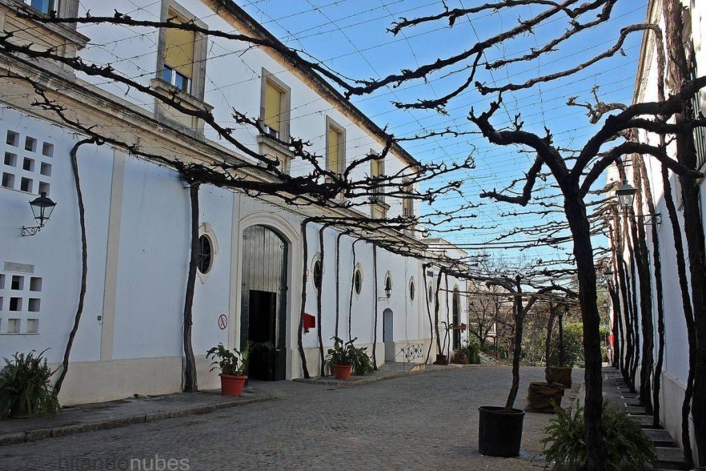 hilandonubes Jerez Bodegas Tio Pepe