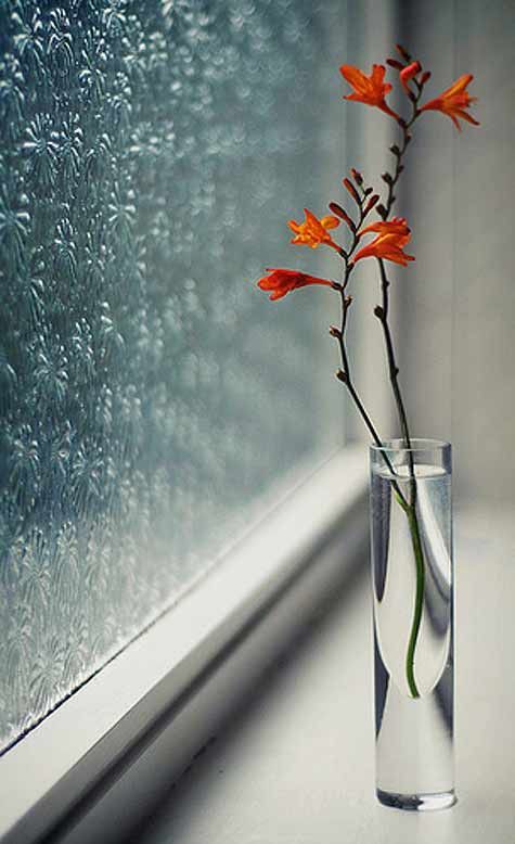 Fotografía – Ventanas